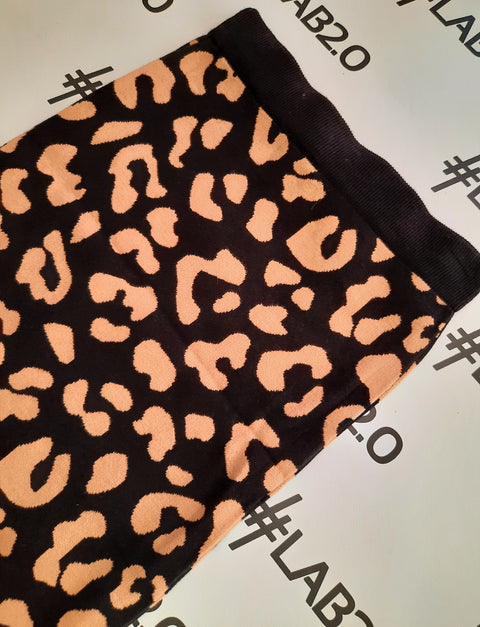 Gonna Cassiope Camel